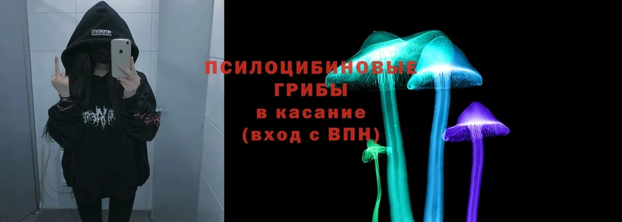 где можно купить   Инза  Псилоцибиновые грибы MAGIC MUSHROOMS 